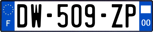 DW-509-ZP