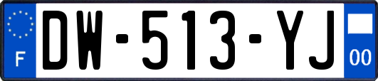 DW-513-YJ