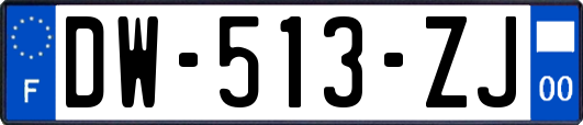 DW-513-ZJ