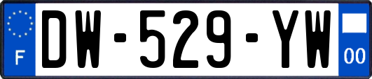 DW-529-YW