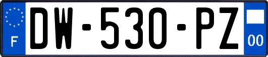 DW-530-PZ