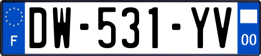 DW-531-YV