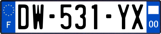 DW-531-YX