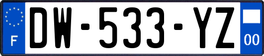 DW-533-YZ