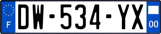 DW-534-YX