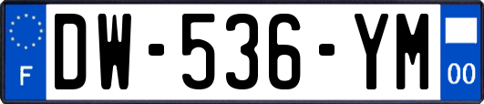 DW-536-YM