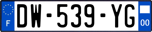 DW-539-YG