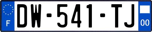 DW-541-TJ