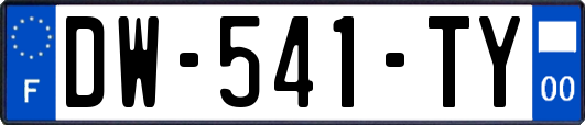 DW-541-TY