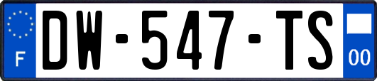 DW-547-TS