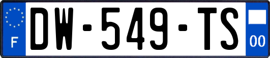 DW-549-TS