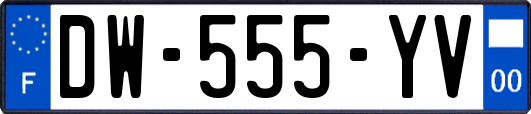 DW-555-YV