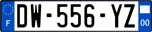 DW-556-YZ