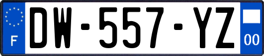 DW-557-YZ