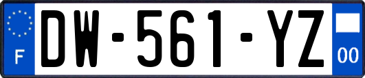 DW-561-YZ