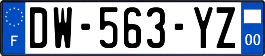 DW-563-YZ