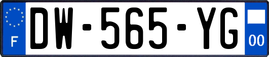 DW-565-YG