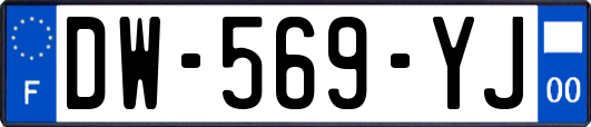 DW-569-YJ