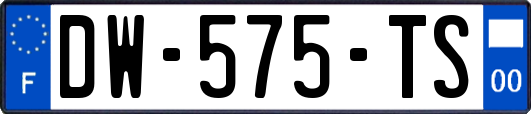 DW-575-TS