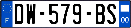 DW-579-BS