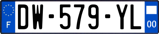 DW-579-YL
