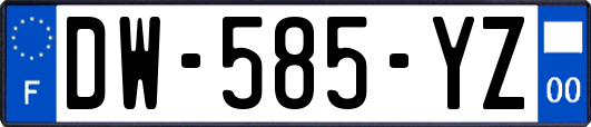 DW-585-YZ