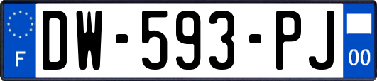 DW-593-PJ