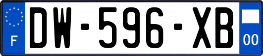 DW-596-XB