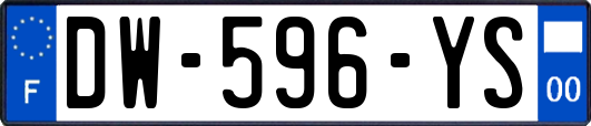 DW-596-YS