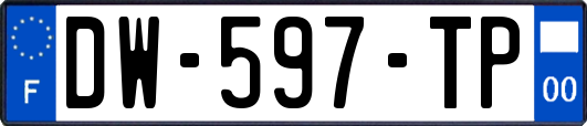 DW-597-TP