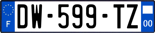 DW-599-TZ