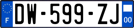 DW-599-ZJ