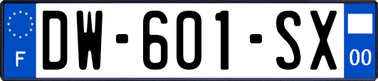 DW-601-SX