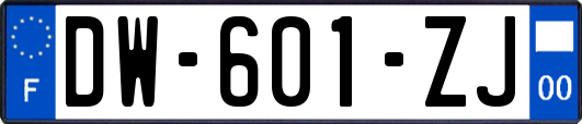 DW-601-ZJ