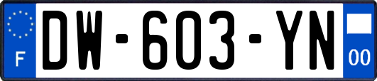 DW-603-YN