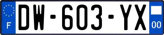 DW-603-YX