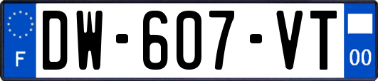 DW-607-VT