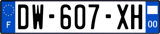 DW-607-XH