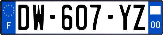 DW-607-YZ