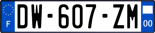 DW-607-ZM