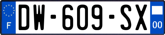 DW-609-SX