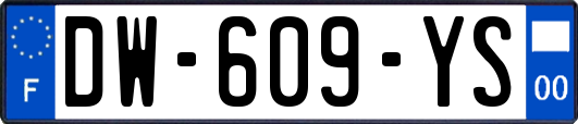 DW-609-YS