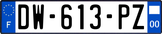 DW-613-PZ