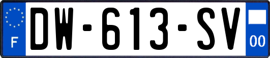 DW-613-SV