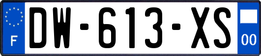 DW-613-XS