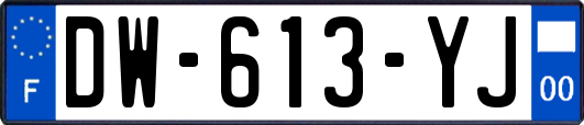 DW-613-YJ