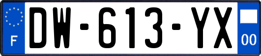 DW-613-YX