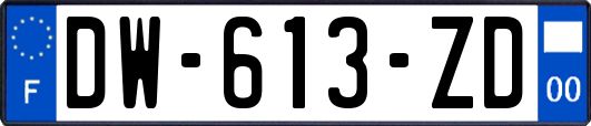 DW-613-ZD