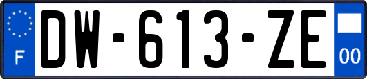 DW-613-ZE