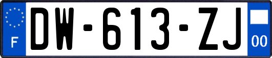 DW-613-ZJ